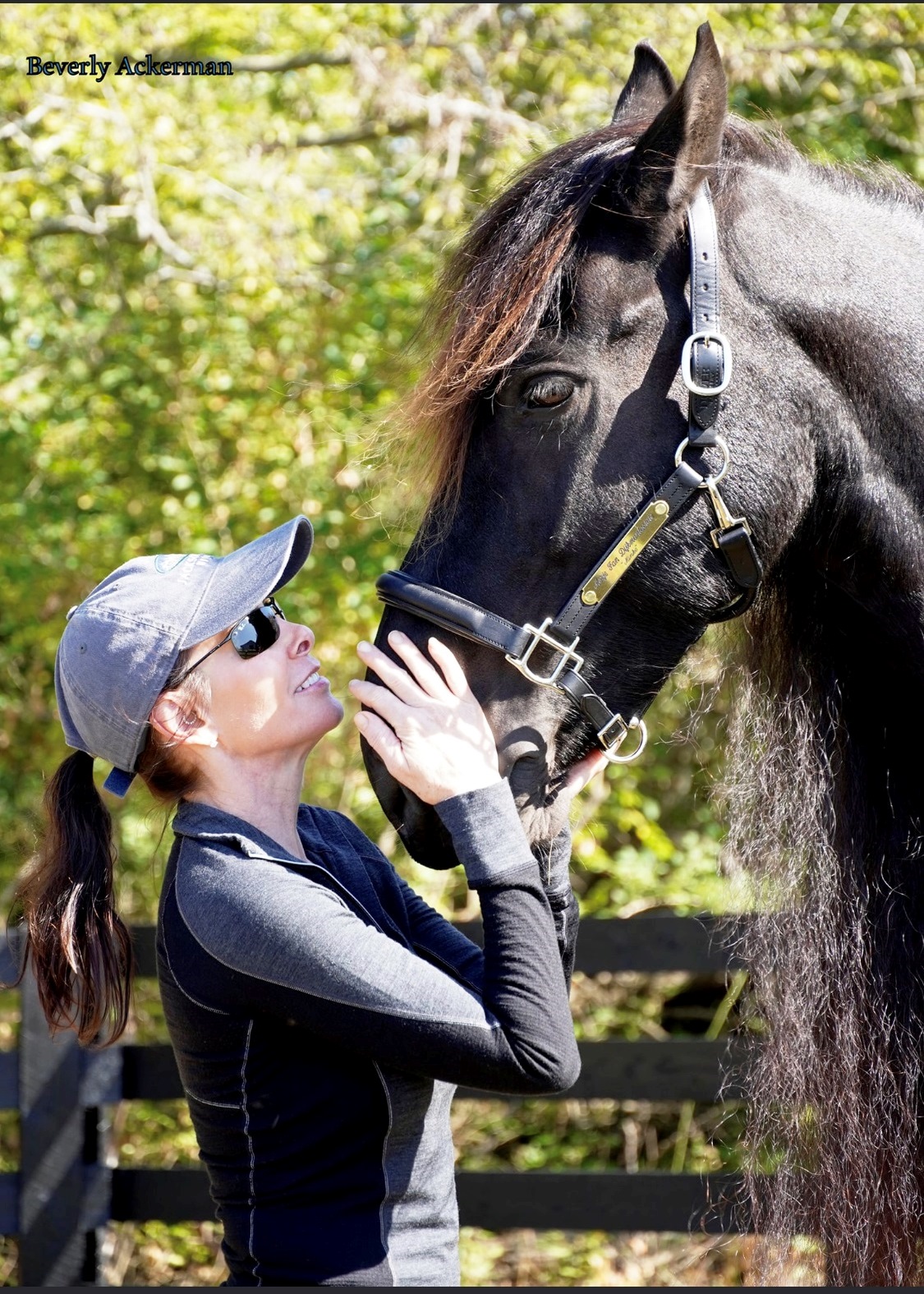 Friesian Merje SPORT - Sold